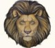 lion7718's Avatar
