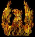 zflamewing's Avatar