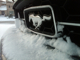 Stang68's Avatar
