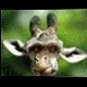 bstock's Avatar