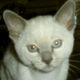 Twiz's Avatar