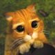 jkmailley's Avatar