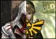 DLDarklink's Avatar