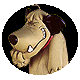 79pw4x4's Avatar