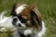 Lolas Dad's Avatar