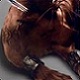 sik00's Avatar