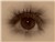 LyndaKelly's Avatar