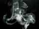 smokinjoe1979's Avatar