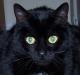 Tasmin's Avatar