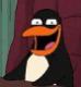 foo's Avatar