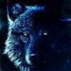 wolfen69's Avatar