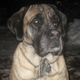 Dud's Avatar