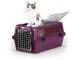 thiscatsabroad's Avatar
