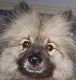 CaseyKees's Avatar