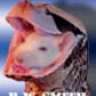 bwsmith