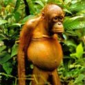 Munky999