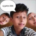 hayllangato