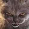 Bob Cat