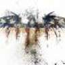 Roid3