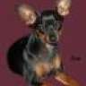 myminpins